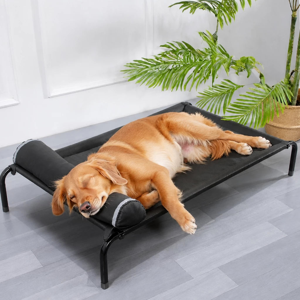 Elevated Dog Cot with Nylon Mesh and Iron Frame