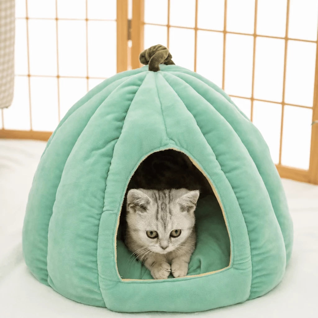Enclosed Polyester Pet Bed for Cats and Small Dogs