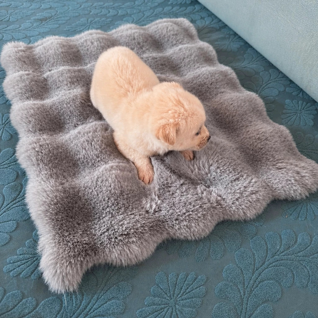 Pet Bed Mat for Cats, Dogs & Rabbits