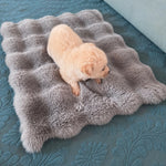 Pet Bed Mat for Cats, Dogs & Rabbits