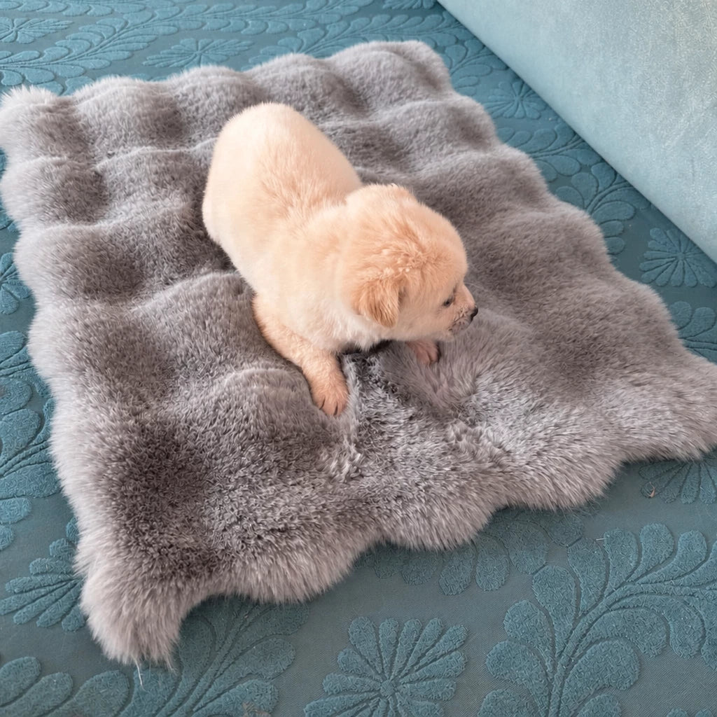Pet Bed Mat for Cats, Dogs & Rabbits