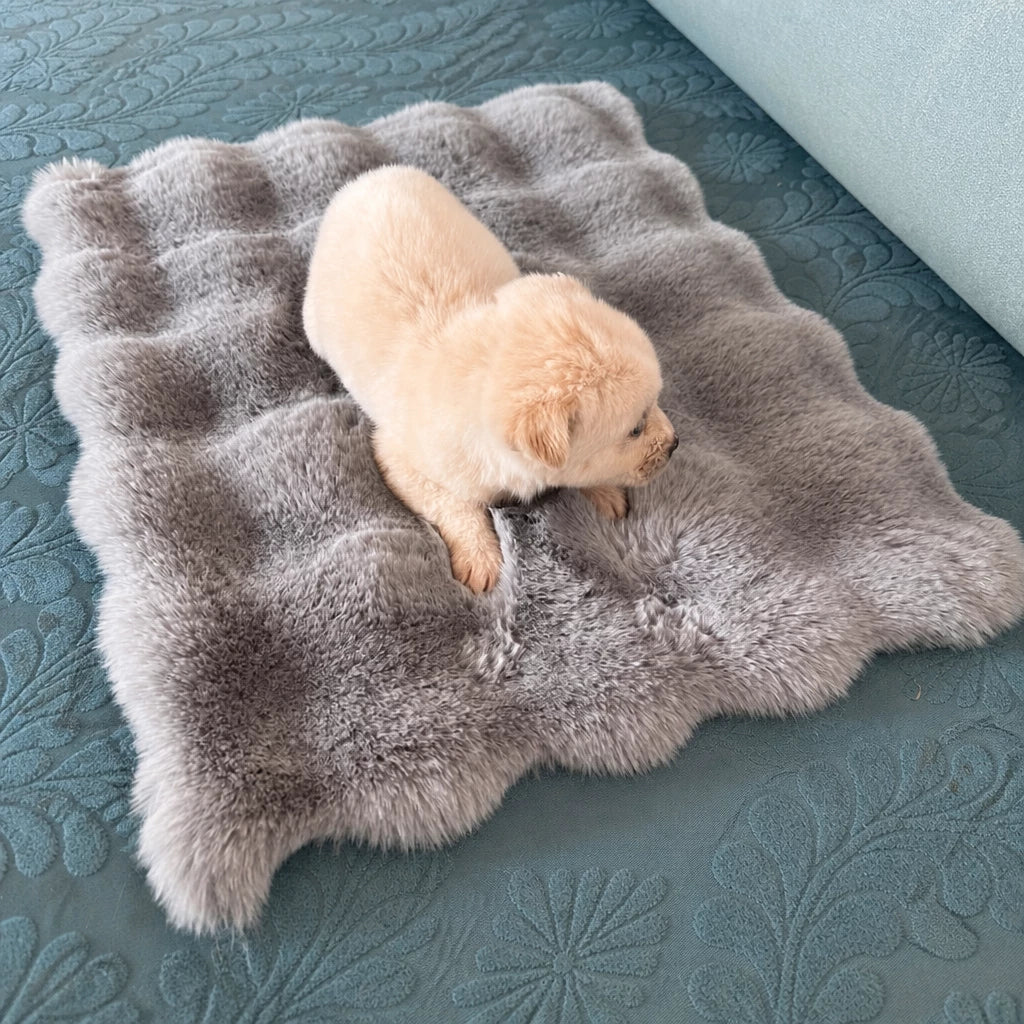 Pet Bed Mat for Cats, Dogs & Rabbits