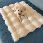 Pet Bed Mat for Cats, Dogs & Rabbits