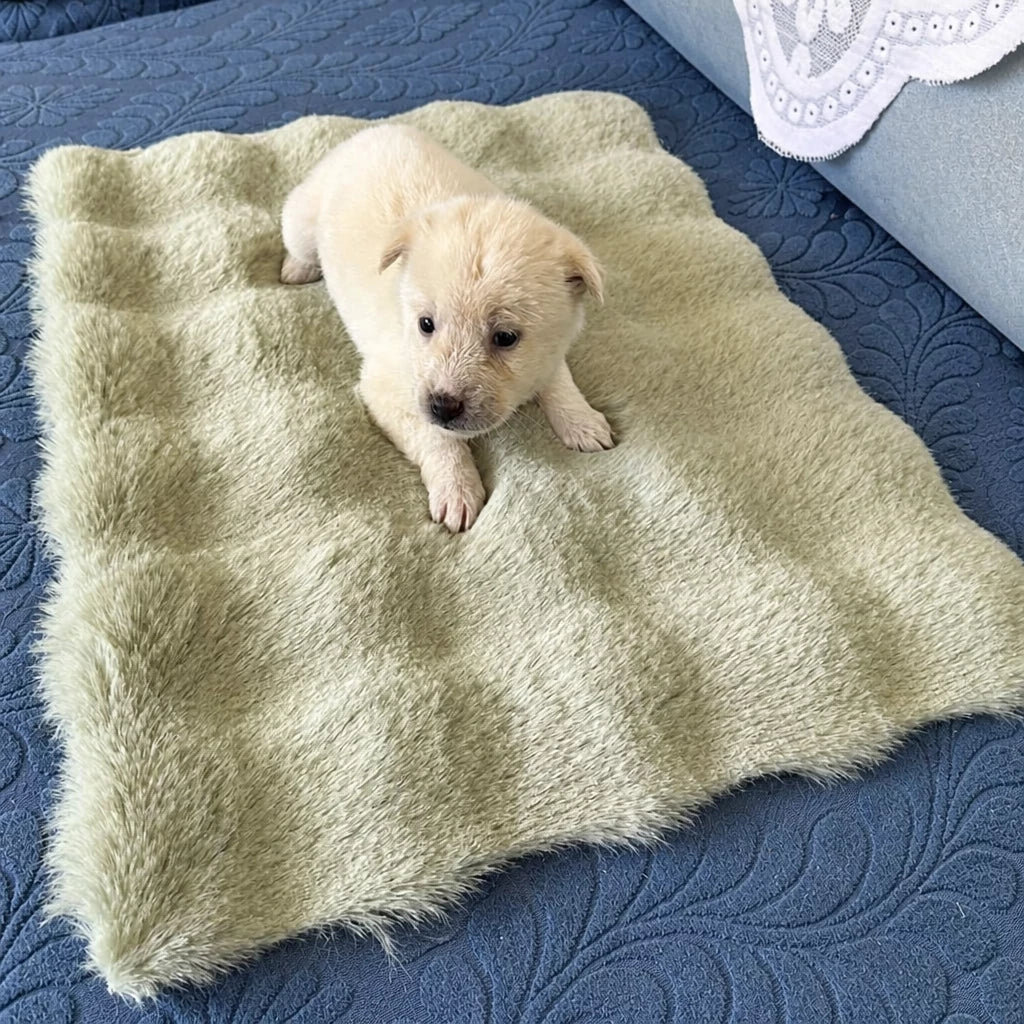 Pet Bed Mat for Cats, Dogs & Rabbits
