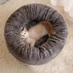 Pet Bed and Cushion for Cats and Small Dogs
