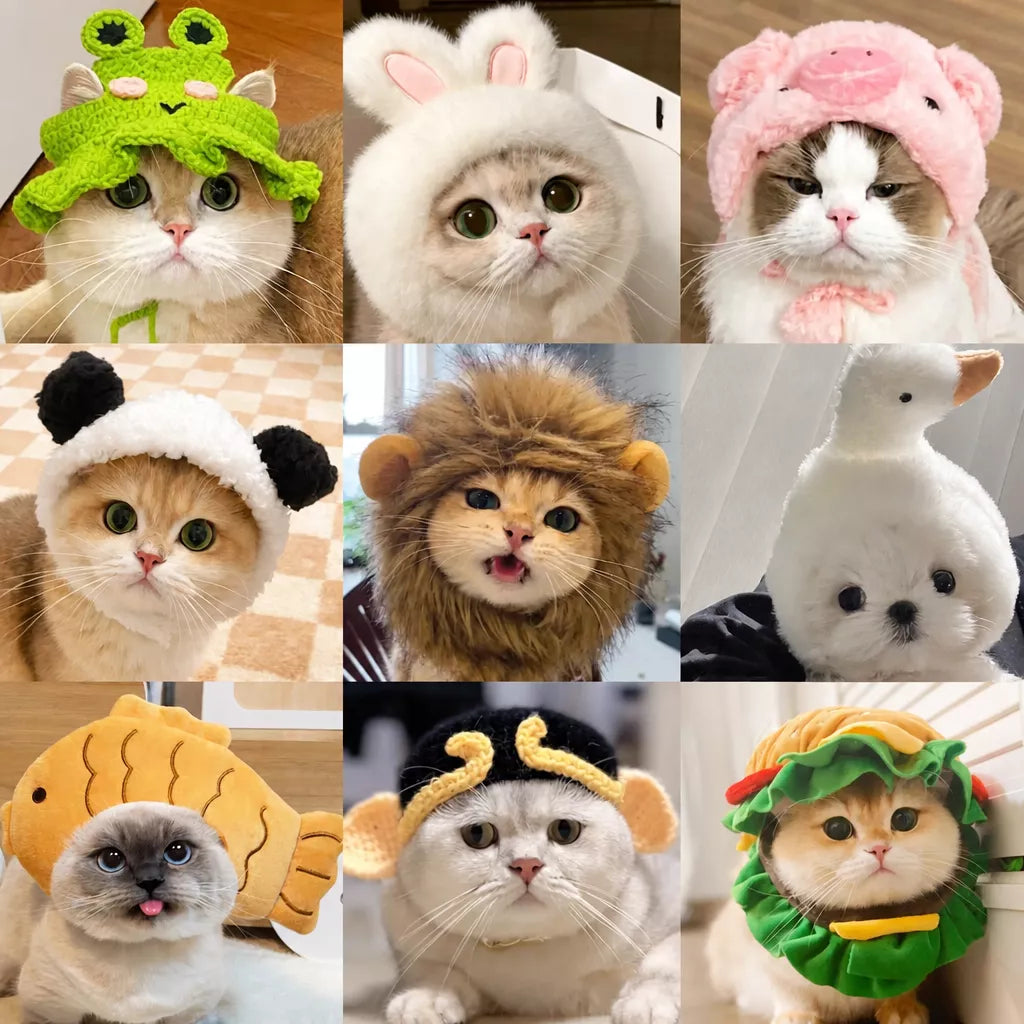 Character Costume Pet Hat for Cats and Dogs