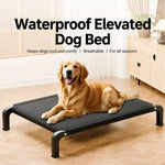 Elevated Dog Cot Bed with Removable Cover