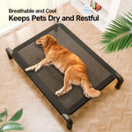 Elevated Mesh Dog Cot Bed