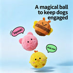 Squeaky Spiky Ball Dog Toy