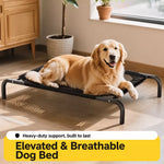 Elevated Dog Cot with Nylon Mesh and Iron Frame