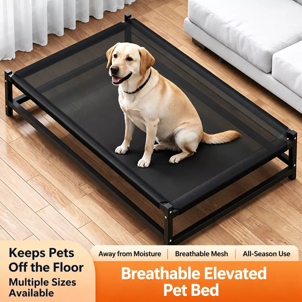 Elevated Dog Bed with Nylon Cot and Stainless Steel Frame