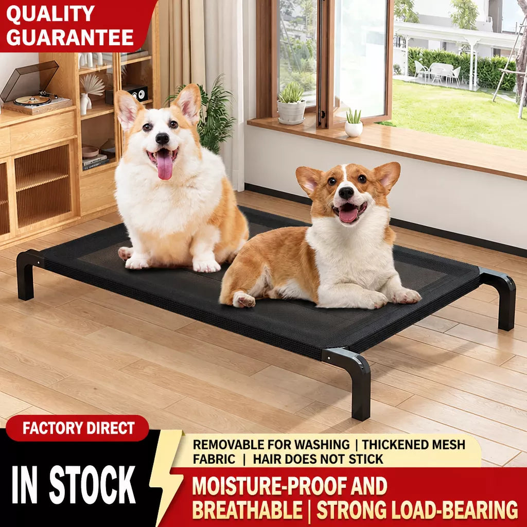Elevated Mesh Dog Bed with Iron Frame