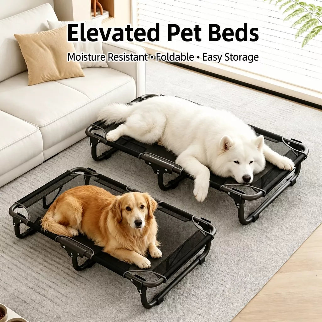 Elevated Folding Dog Cot with Breathable Mesh