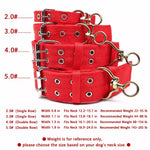 Adjustable Nylon Dog Collar
