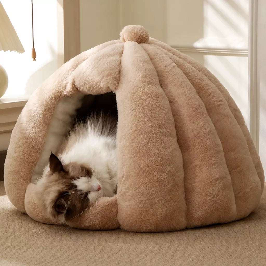 Enclosed Cat Bed with Removable, Washable Cover