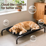 Elevated Dog Cot Bed with Removable Cover