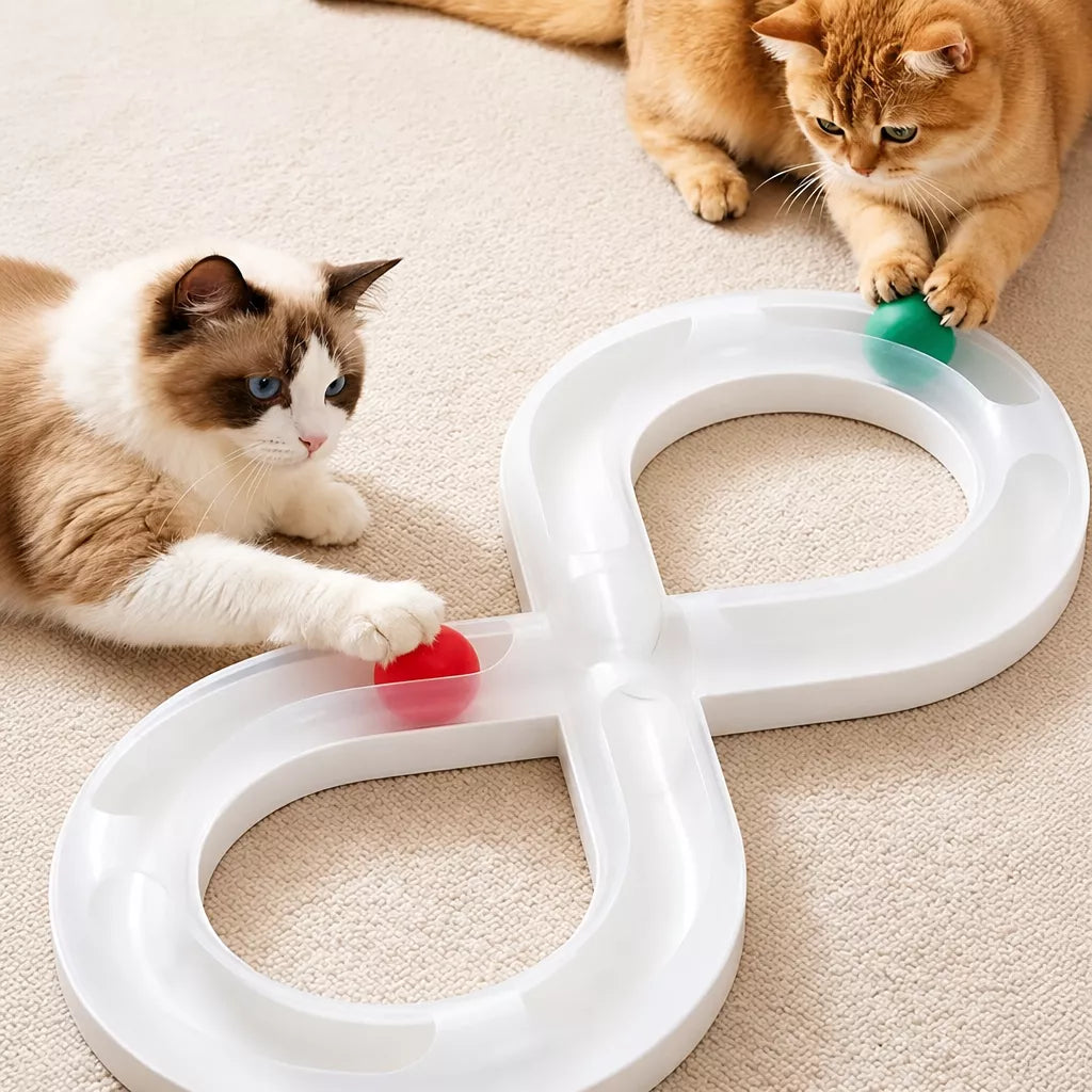 Rolling Ball Track Toy for Cats
