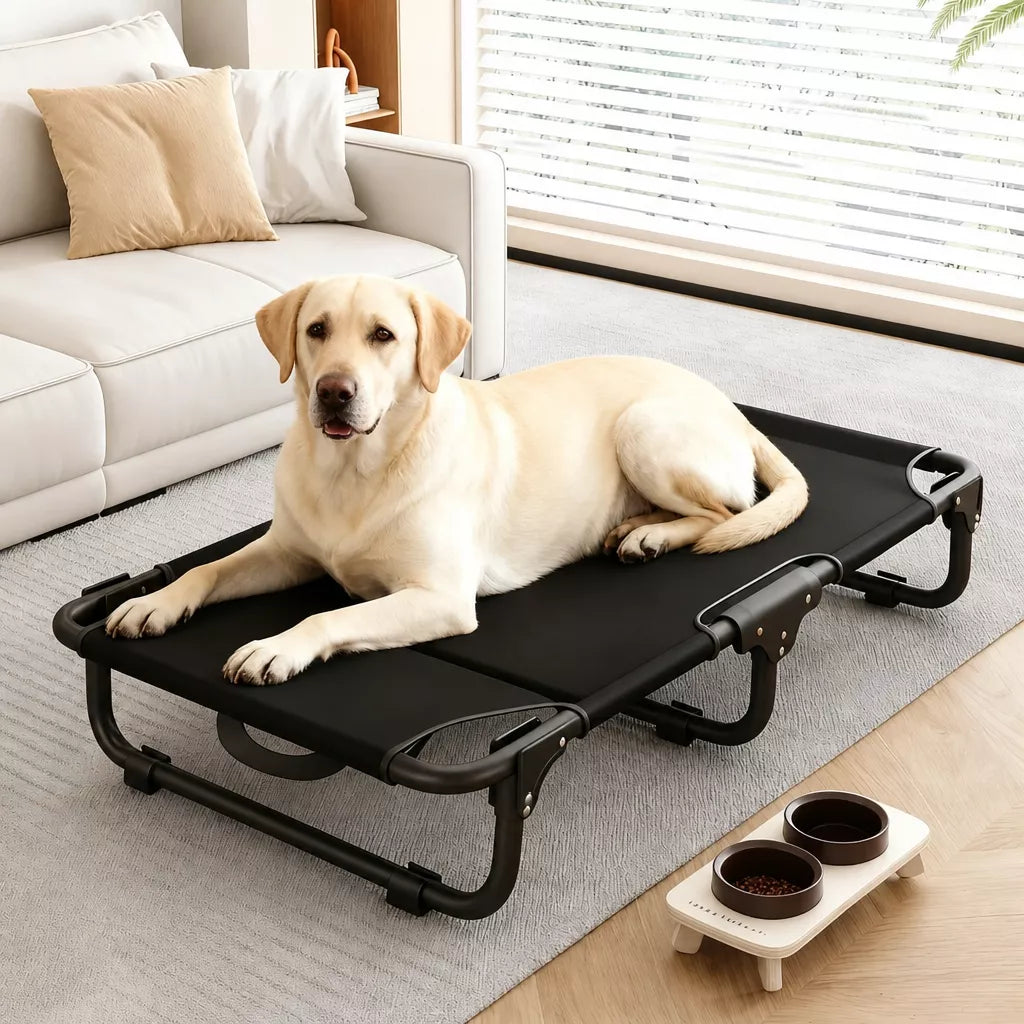 Elevated Folding Dog Cot with Breathable Mesh
