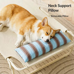 Elevated Waterproof Dog Cot Bed