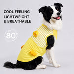 Lightweight Dog Outdoor Vest for Warm-Weather Wear