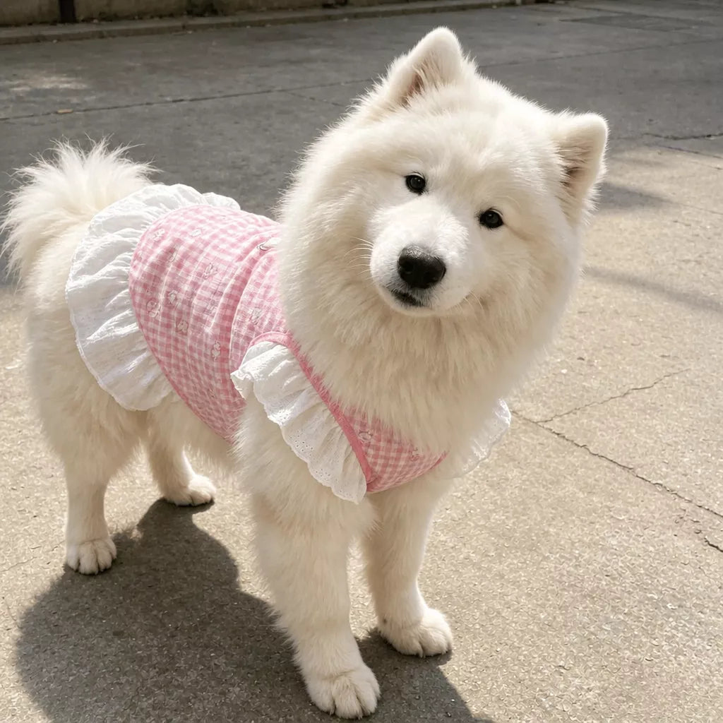 Lightweight Mesh Dog Dress