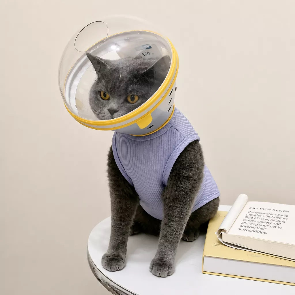 Plastic Recovery Cone for Small Dogs