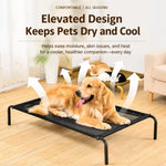 Elevated Dog Bed with Nylon Cot and Stainless Steel Frame