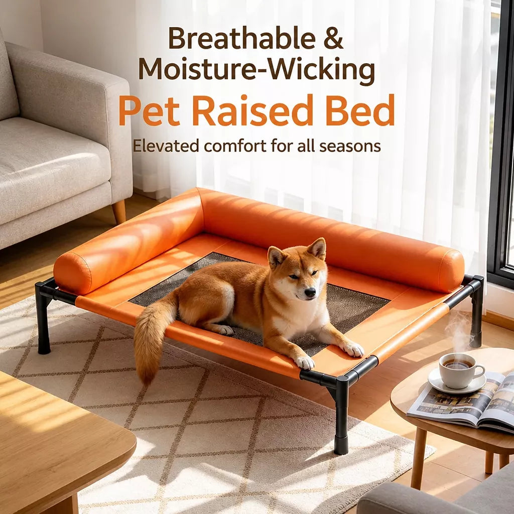 Raised Pet Cot Bed for Small to Medium Dogs and Cats