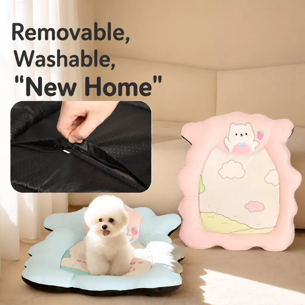 Removable Washable Pet Bed for Dogs & Cats