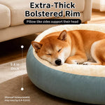 Dog & Cat Bed with Cushioned Base — All-Season & Winter Styles