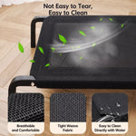 Elevated Mesh Dog Cot Bed