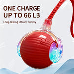 Automatic Interactive Rolling Cat Ball Toy