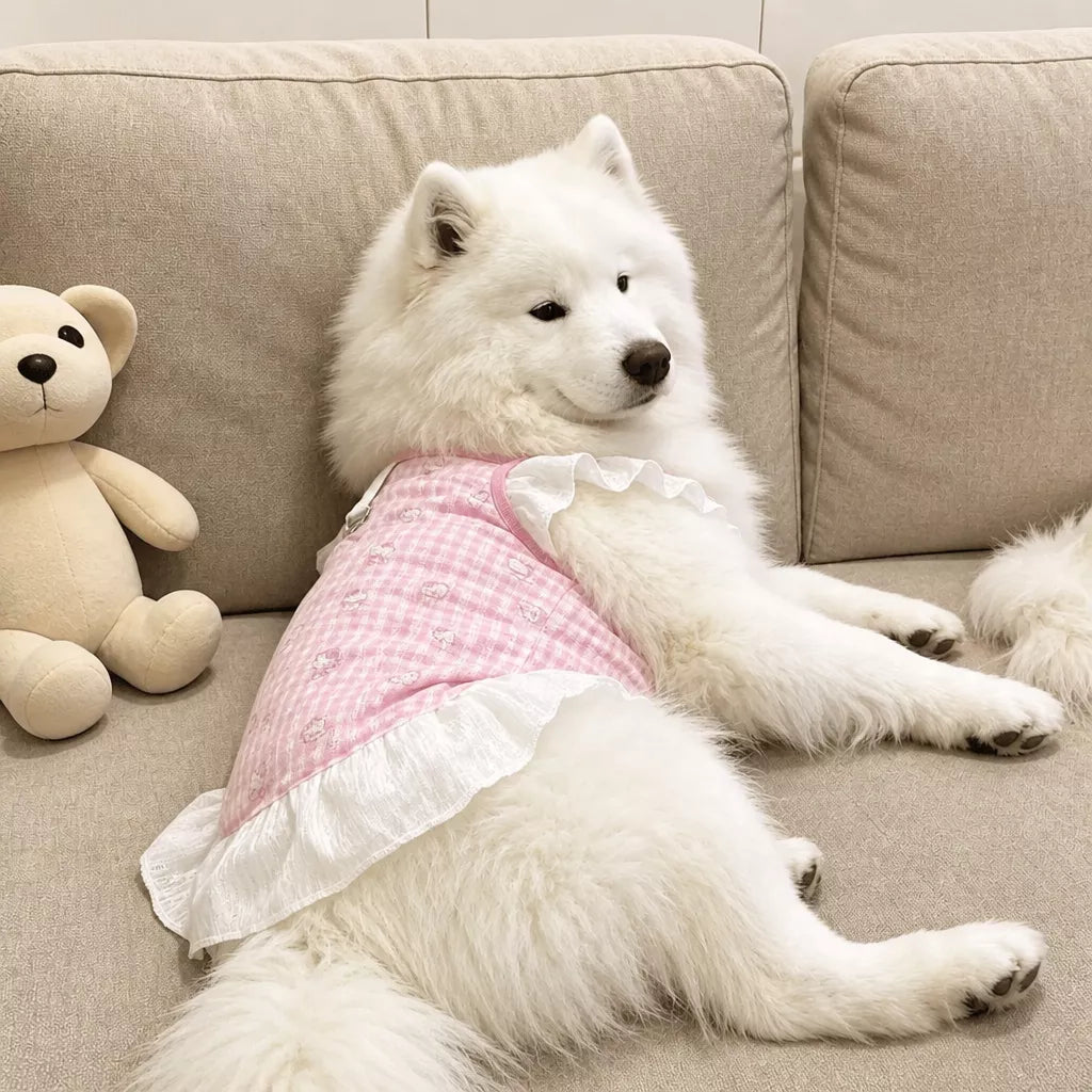 Lightweight Mesh Dog Dress