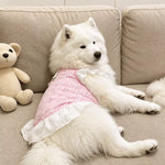Lightweight Mesh Dog Dress