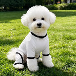 Lightweight Mesh Pet Shirt
