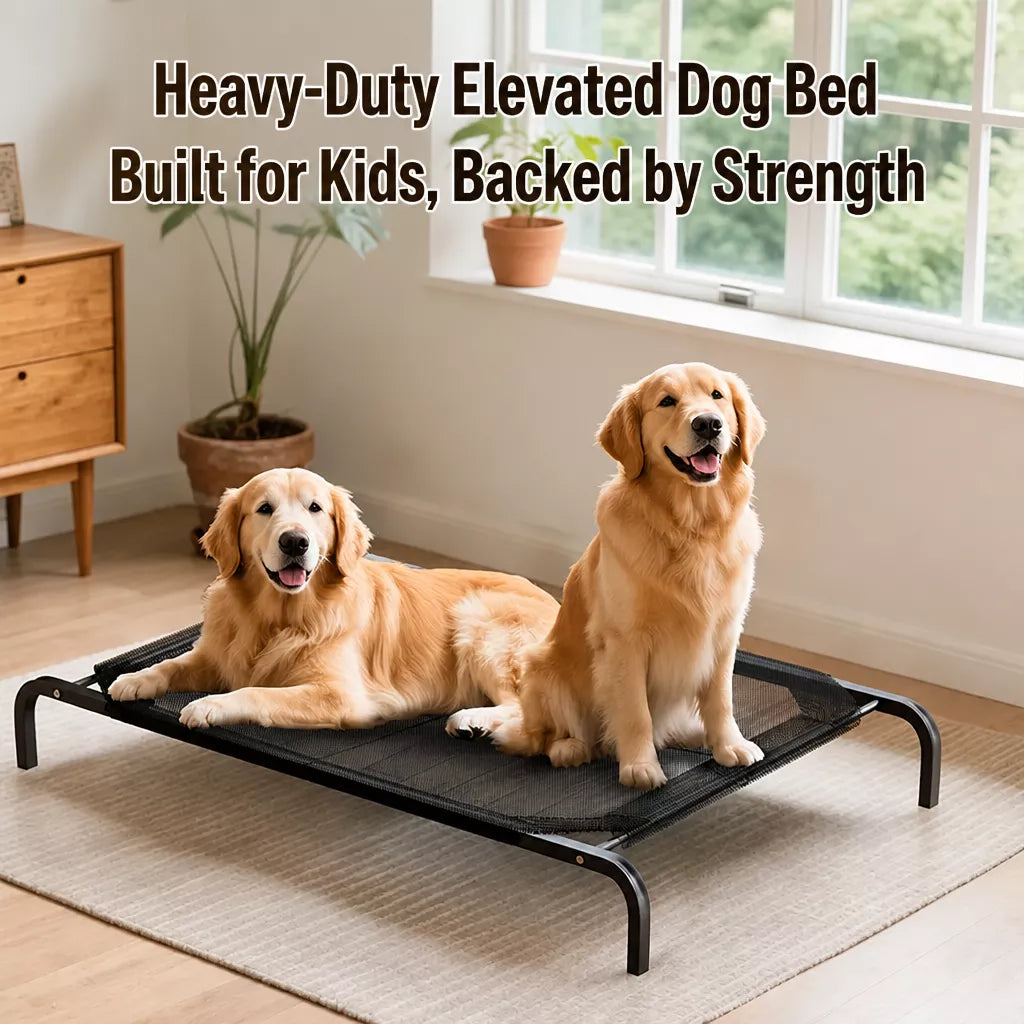 Elevated Dog Cot with Nylon Mesh and Iron Frame