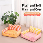 Pet Bed and Cushion for Cats and Small Dogs