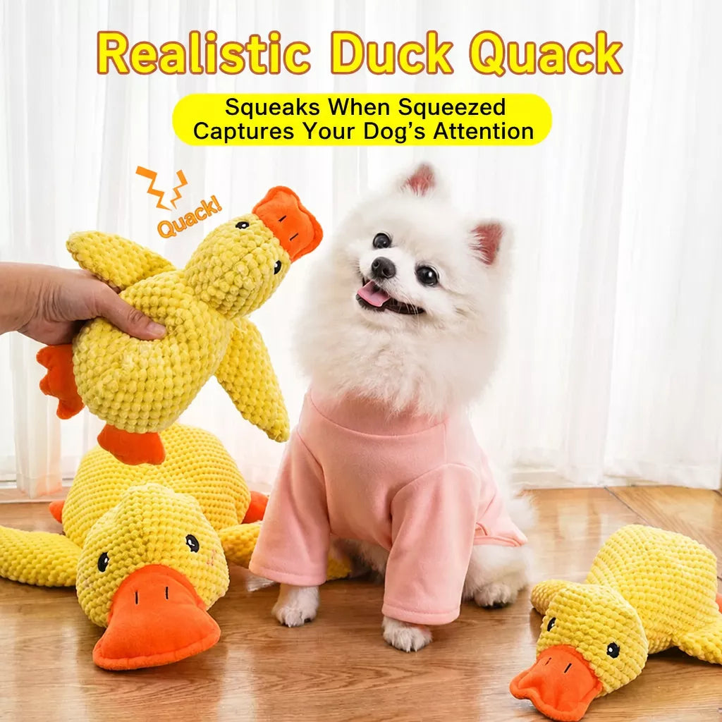Plush Squeaky Dog Toy Collection