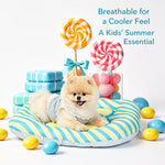 Washable Pet Bed Mat for Cats and Dogs