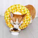 Soft Recovery Cone Collar for Dogs