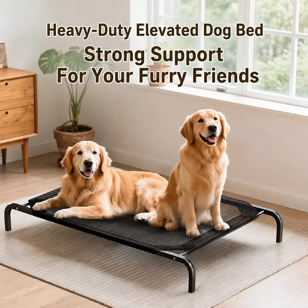 Elevated Dog Cot Bed with Removable Cover