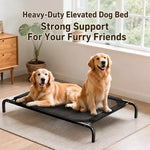 Elevated Dog Cot Bed with Removable Cover