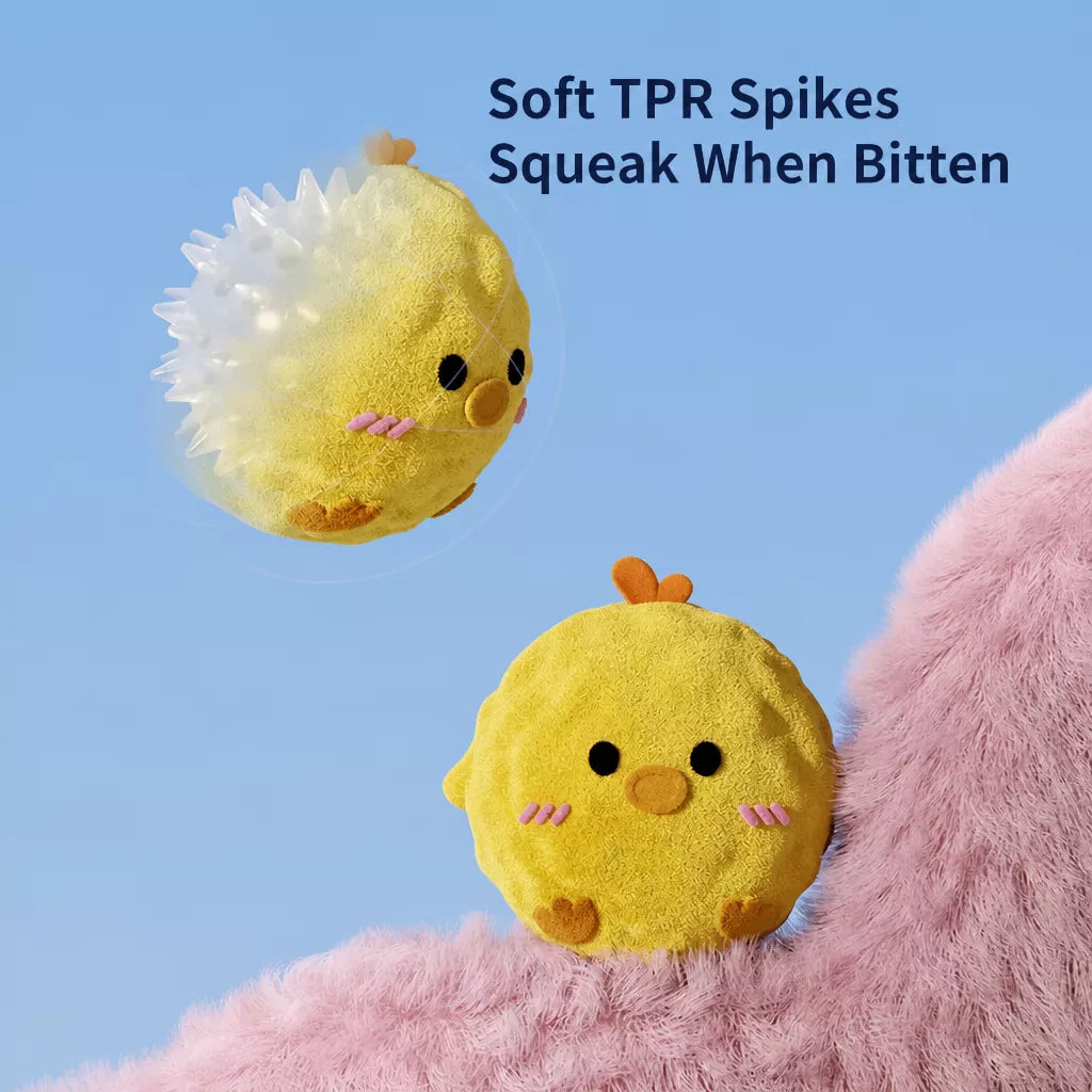 Squeaky Spiky Ball Dog Toy