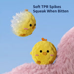Squeaky Spiky Ball Dog Toy