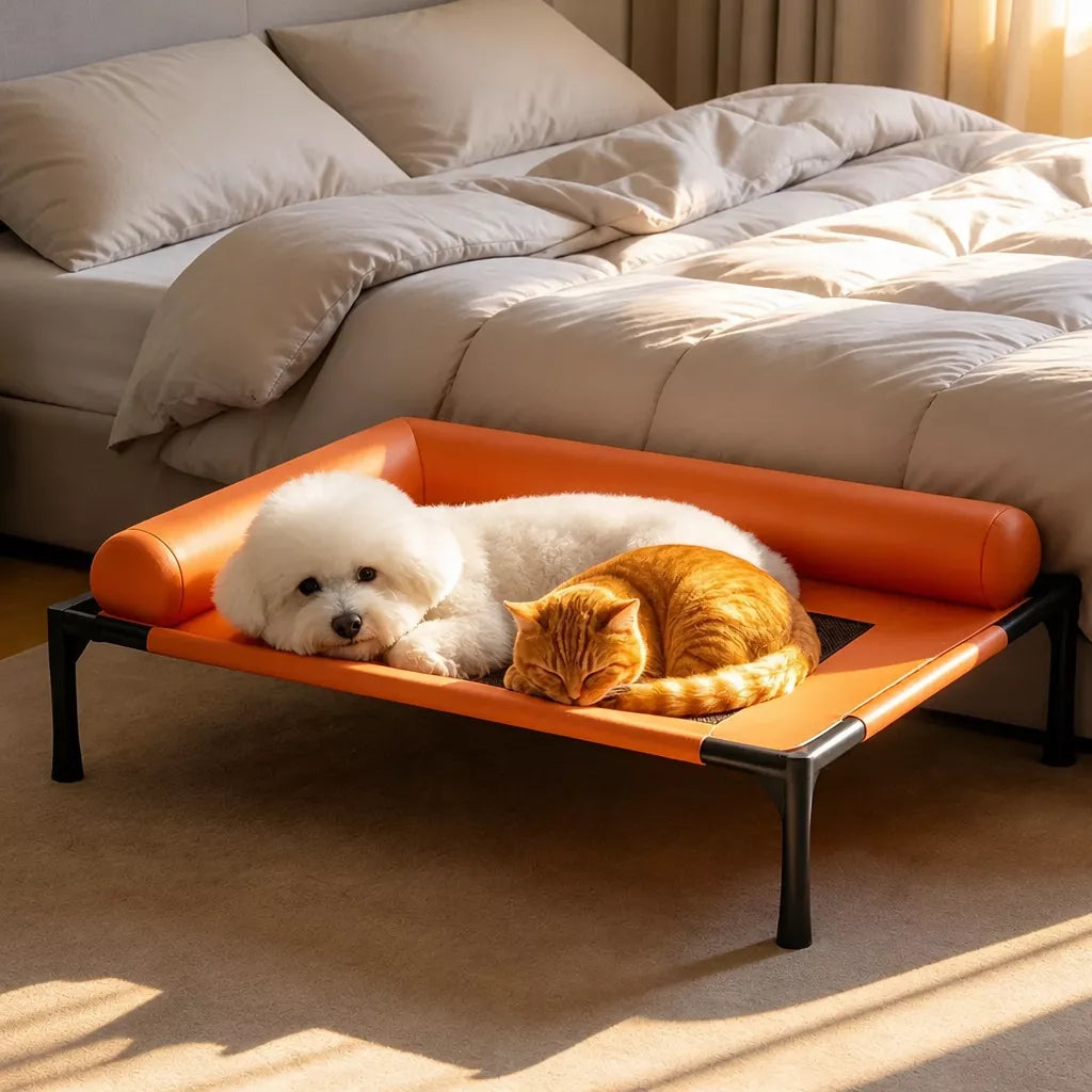 Raised Pet Cot Bed for Small to Medium Dogs and Cats