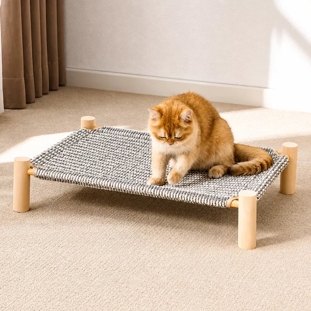 Elevated Cat Bed with Scratching Surface