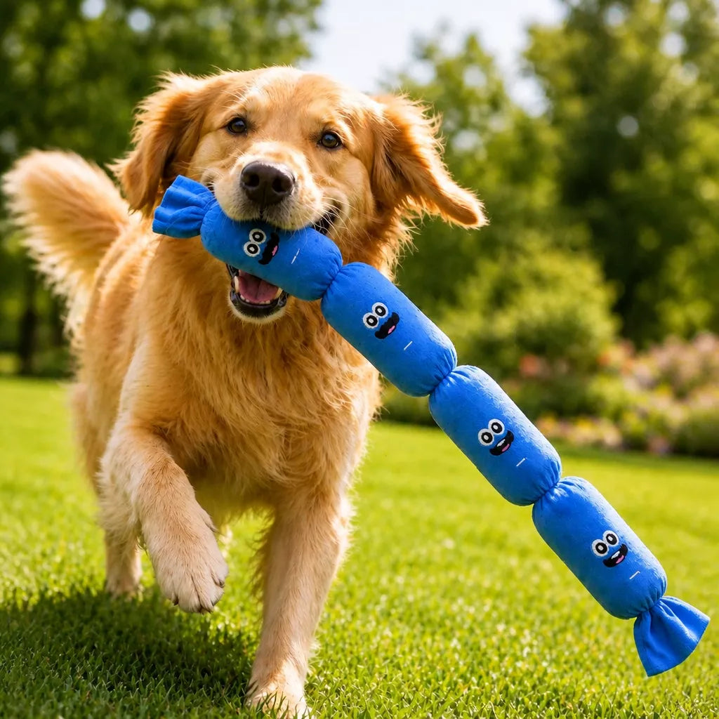 4-Section Squeaky Sausage Dog Toy