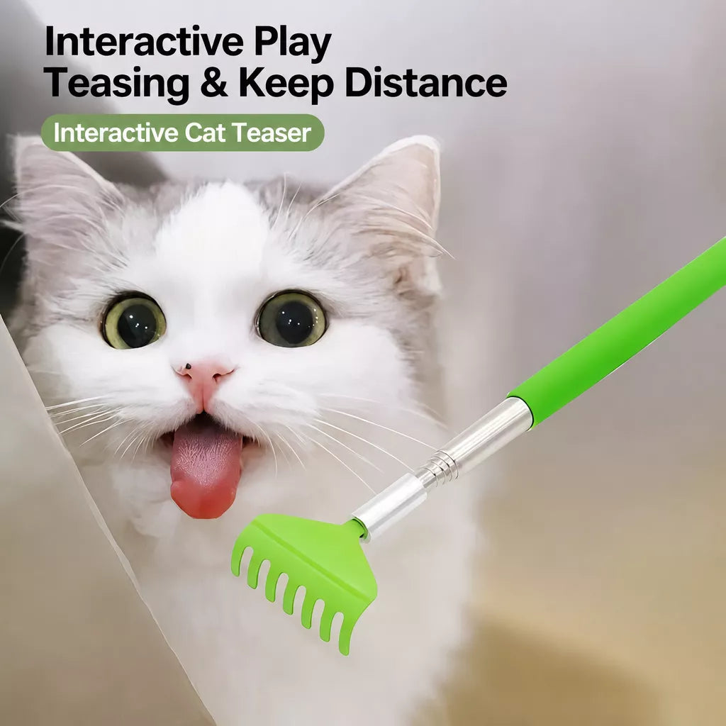 Retractable Pet Scratcher Toy for Cats and Dogs