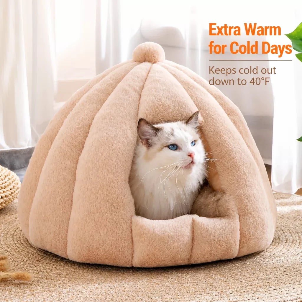 Enclosed Cat Bed with Removable, Washable Cover