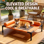 Elevated Dog Cot Bed with Mesh Sleeping Surface